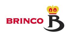 Brinco, S.A. de C.V.