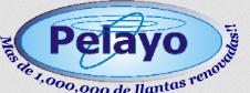 L. J. Pelayo y Cia. S.a. de C.v
