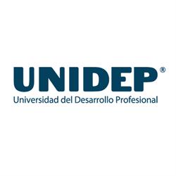 Universidad del Desarollo Profesional
