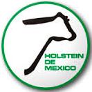 Holstein De México A.c