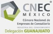 Camara Nacional de Empresas de Consultoria Delgacion Guanajuato