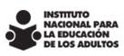 Instituto Nal Para La Educ de Los Adultos