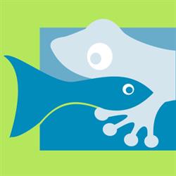 Estética Canina En Fauna Acuario