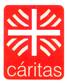 Caritas De Aguascalientes Ac