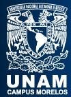 Unam