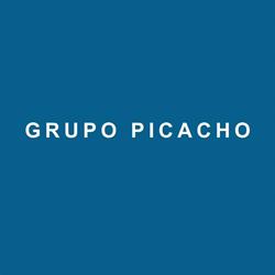 Picacho Automotriz, S.a. De C.v