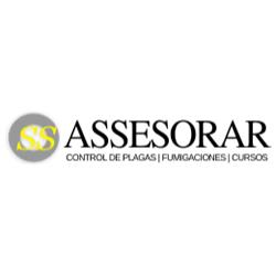 Assesorar