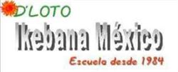 D´Loto Arte Flores y Decoración