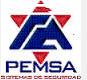 Proteccion Electronica Monterrey