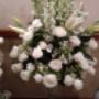 Subido por visitante en 03/11/2016 - ARR  DE  AMBIENTACION   PARA  BODA