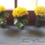 Subido por visitante en 02/11/2016 - buquete de  rosas  amarillas en  florero