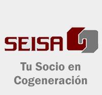 Sistemas de Energia Internacional, S.a. de C.v