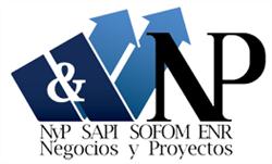 Negocios y Proyectos S.a. de C.v