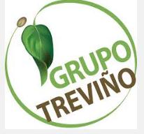 Casa i Treviño SA de Cv
