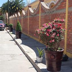 Motel América