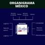 CONOCE NUESTRO EQUIPO