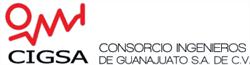 Consorcio Ingenieros de Guanajuato, S.a. de C.v