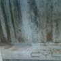 Subido por visitante en 20/04/2016