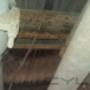 Subido por visitante en 20/04/2016