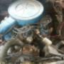 Subido por visitante en 20/04/2016