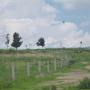 Derecho de via