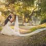 wedding spring