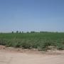 Agropecuario