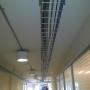 FIBRA UNAM 2