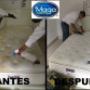 lavado de colchon