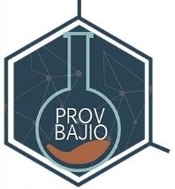 Proveedor Del Bajio S.a de C.v