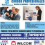 CURSO DE PONCHADOS, WILCOM Y BORDADOS