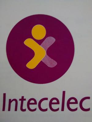 Intecelec S.a. de C.v.
