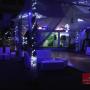 Luces carpa