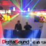 djs