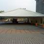 carpa1