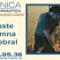 Ajuste-columna