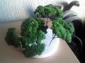 ARBOLES