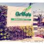 Subido por visitante en 24/02/2016