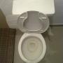 WC CONTAMINADO Y CON SARRO