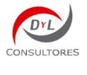 Dyl Consultores