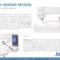 Bordadora-Janome-mc550e