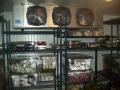 CÁMARAS DE REFRIGERACIÓN Y CONGELACIÓN DICAFRI.