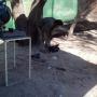 Subido por visitante en 01/02/2017