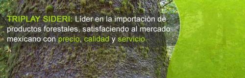 Triplay Sideri,s.a. de C.v.