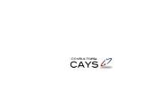 Consultoría Cays