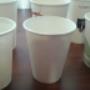 vasos biodegradables