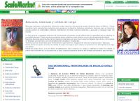 Sitio web de Scalemartket México