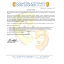 CURRICULUM VITAE
