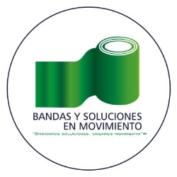 Bandas y Soluciones en Movimiento