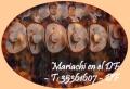 Mariachi en el DF T35361607